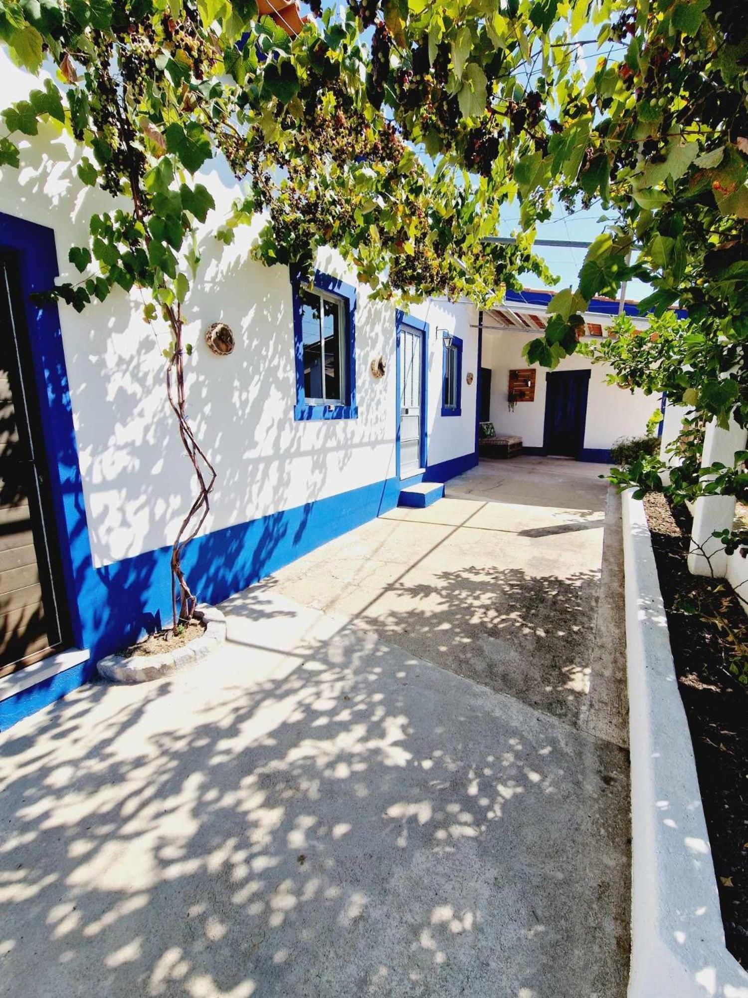 Villa Casa Dos Martelitos Salgueira  Esterno foto