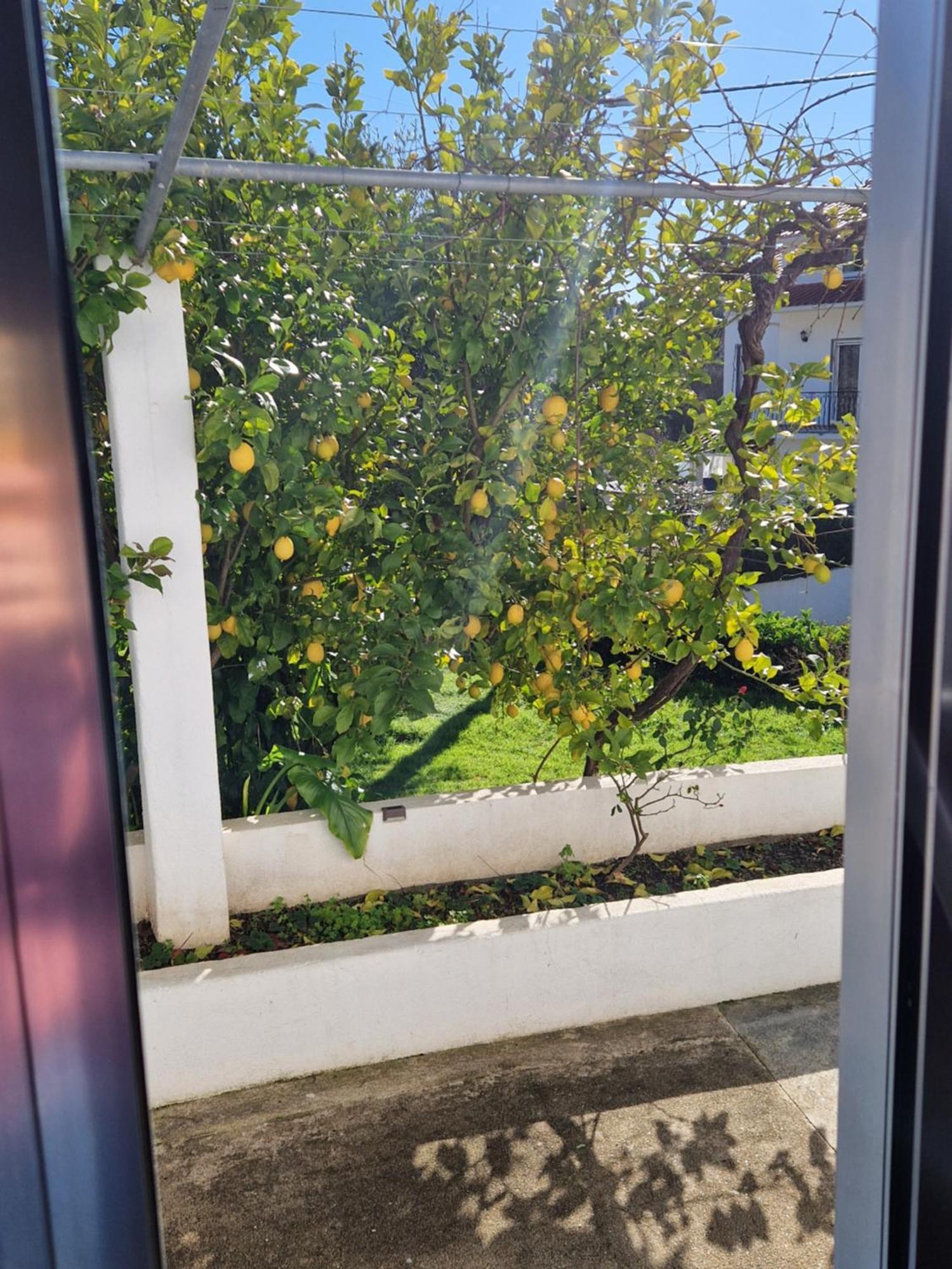 Villa Casa Dos Martelitos Salgueira  Esterno foto